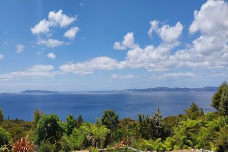 Photo of property in 525a Tuateawa Road, Tuateawa, Coromandel, 3583