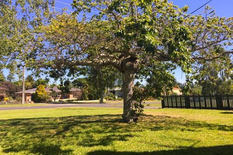 Photo of property in 33 Shakespeare Street, Te Aroha, 3320