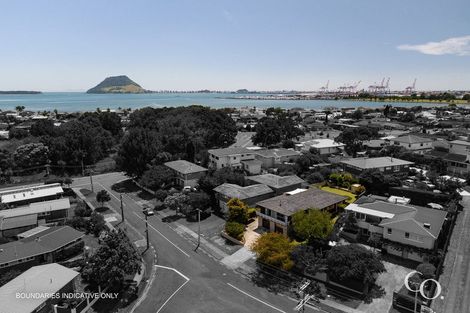 Photo of property in 10 Andrew Place, Otumoetai, Tauranga, 3110