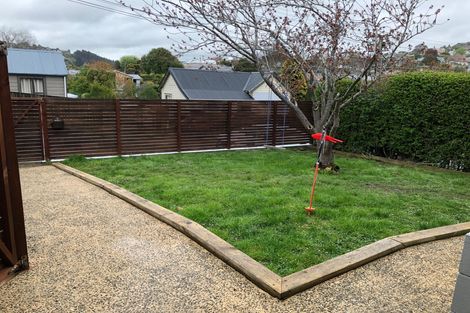 Photo of property in 22 Shetland Street, Wakari, Dunedin, 9010