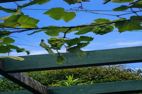 Photo of property in 1/13 Target Road, Totara Vale, Auckland, 0629