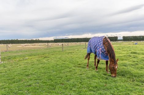 Photo of property in 214 Kivers Road, Burnham, Christchurch, 7677