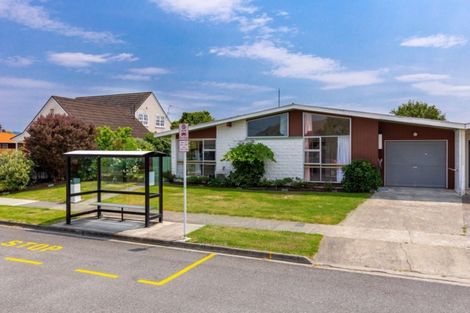 Photo of property in 21 Ida Street, Redwoodtown, Blenheim, 7201