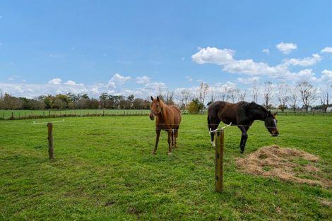 Photo of property in 261 Kaipaki Road, Ohaupo, 3881