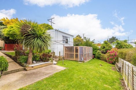 Photo of property in 23 Duckworth Street, Andersons Bay, Dunedin, 9013