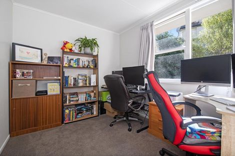 Photo of property in 158b Pembroke Street, Hamilton Lake, Hamilton, 3204