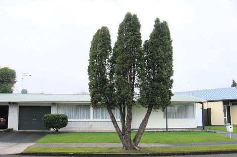 Photo of property in 15 Opawa Place, Terrace End, Palmerston North, 4410