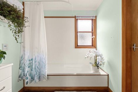 Photo of property in 20 Albion Street, Shiel Hill, Dunedin, 9013