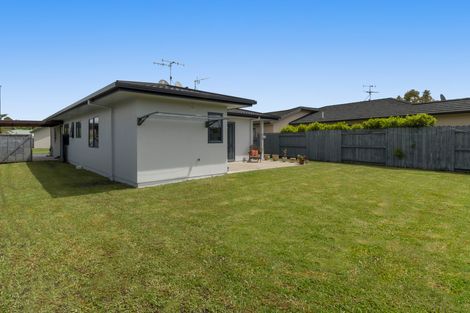 Photo of property in 64 Solomon Street, Brookfield, Tauranga, 3110
