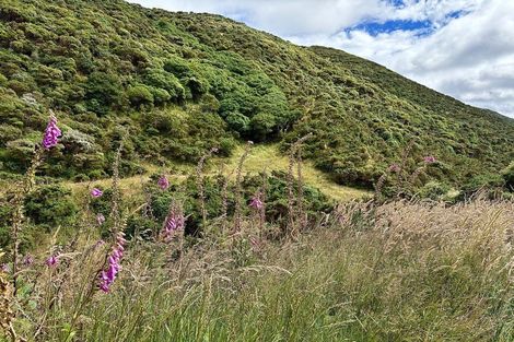 Photo of property in Long Gully Farm, 338 Southernthread Road, Brooklyn, Wellington, 6021
