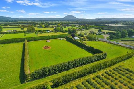 Photo of property in 81 Macdonald Road, Te Teko, Whakatane, 3192