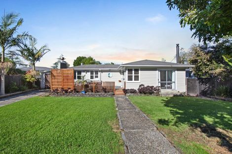 Photo of property in 47 Universal Drive, Henderson, Auckland, 0610