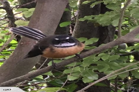 Photo of property in 3 Lot Rc, 2 Nith Street, Oamaru North, Oamaru, 9400