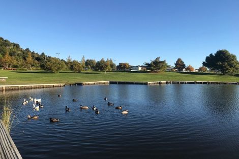 Photo of property in 77 Te Ranga Memorial Drive, Pyes Pa, Tauranga, 3112