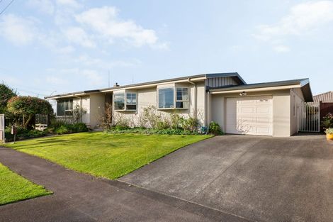 Photo of property in 48 Wymer Terrace, Chartwell, Hamilton, 3210