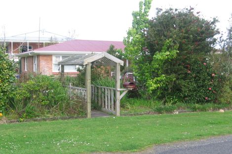 Photo of property in 50 Pagitt Street, Coromandel, 3506