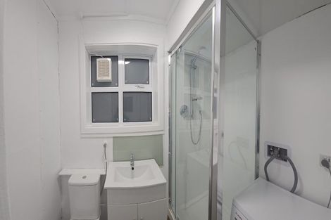 Photo of property in 99 Coromandel Street, Newtown, Wellington, 6021