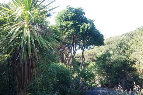 Photo of property in 11a Ryan Road, Te Akau, Ngaruawahia, 3793