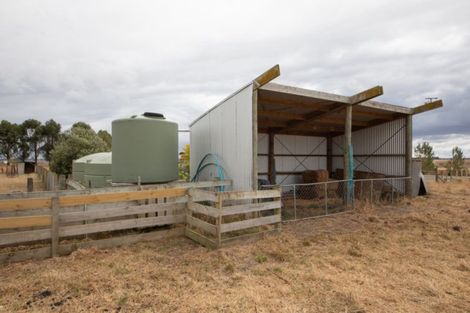 Photo of property in 355 Lethbridge Road, Feilding, 4779