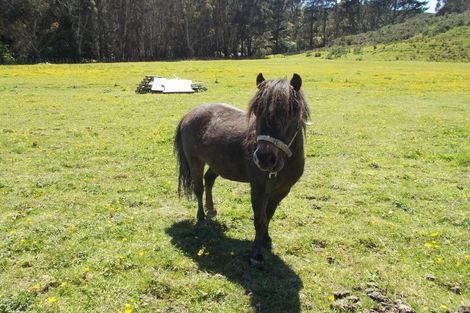 Photo of property in 349 Turitea Road, Turitea, Palmerston North, 4472