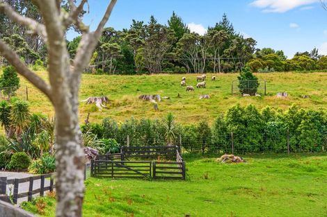 Photo of property in 1014 South Head Road, South Head, Helensville, 0874