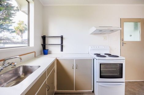 Photo of property in 101 Shamrock Street, Takaro, Palmerston North, 4412