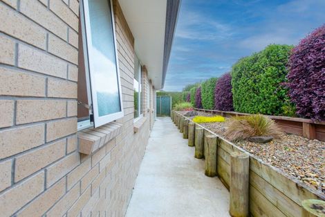 Photo of property in 9 Maple Place, Morrinsville, 3300