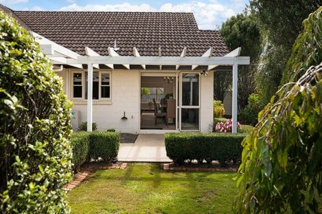 Photo of property in 19 Aufidius Place, Pukekohe, 2120