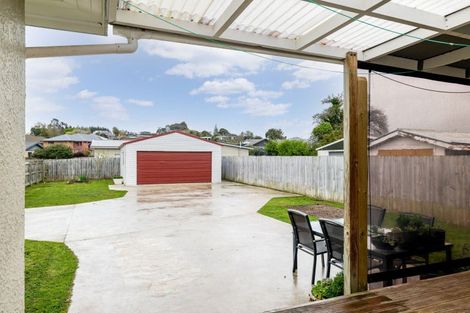 Photo of property in 24a Lethbridge Street, Feilding, 4702