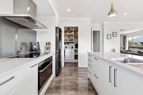 Photo of property in 26 Hart Road, Richmond, 7020
