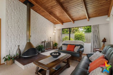 Photo of property in 60 Parry Palm Avenue, Waihi, 3610