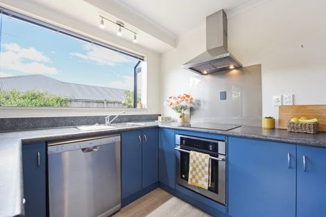 Photo of property in 15 Appaloosa Avenue, Richmond, 7020