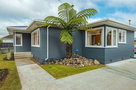 Photo of property in 29 Ferguson Street, Awapuni, Palmerston North, 4412