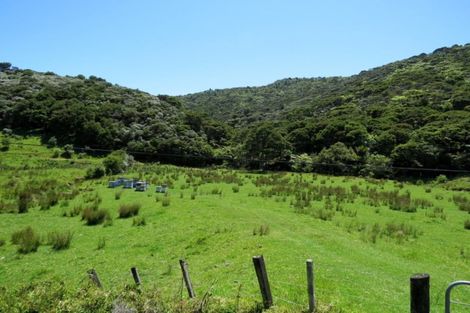 Photo of property in 880 Colville Road, Amodeo Bay, Coromandel, 3584