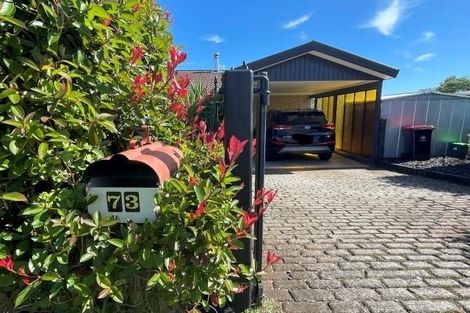 Photo of property in 73 Sutherland Road, Brookfield, Tauranga, 3110