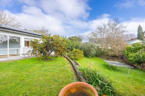 Photo of property in 26 Porangahau Road, Waipukurau, 4200