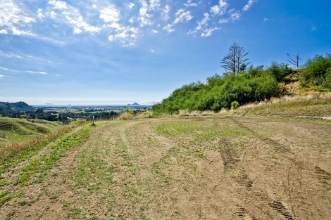 Photo of property in 230c Withy Road, Manawahe, Whakatane, 3193