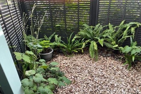 Photo of property in 210 Gowing Drive, Meadowbank, Auckland, 1072