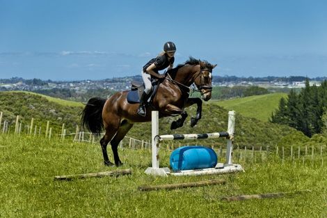 Photo of property in 166 Gervin Road, Wainui, Silverdale, 0992