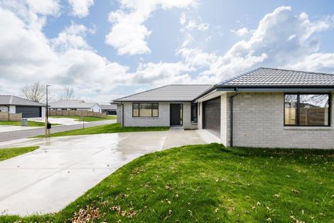 Photo of property in 13 Hinerangi Crescent, Matamata, 3400