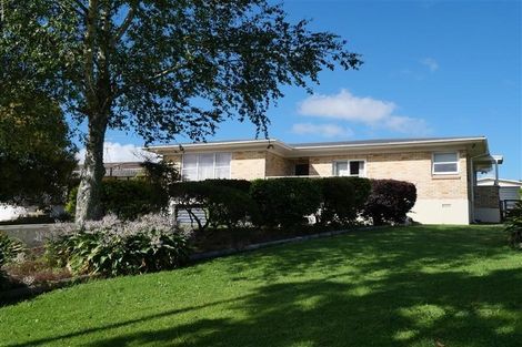 Photo of property in 32 Paerata Road, Pukekohe, 2120