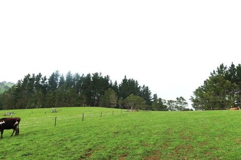 Photo of property in 37 Donnellys Station Road, Donnellys Crossing, Dargaville, 0379