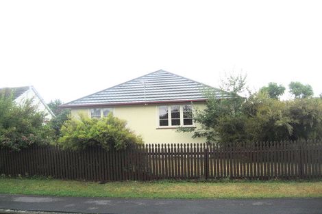 Photo of property in 17 Westcott Street, Dallington, Christchurch, 8061