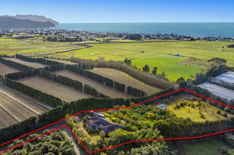 Photo of property in 118 Capamagian Drive, Athenree, Katikati, 3177