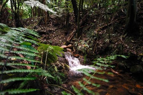 Photo of property in 7 Stoney Brook Lane, Kerikeri, 0230