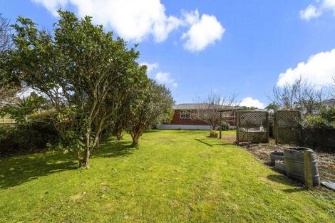 Photo of property in 43 Stafford Street, Waitara, 4320