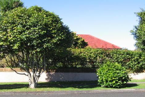 Photo of property in 21 Fitzherbert Street, Putaruru, 3411