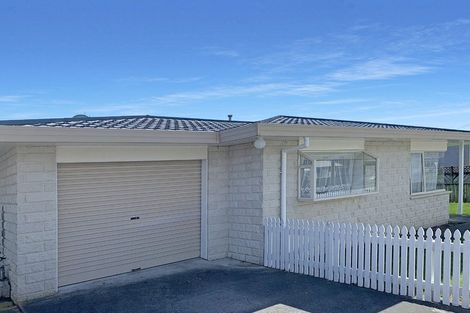 Photo of property in 81 Winchester Street, Levin, 5510