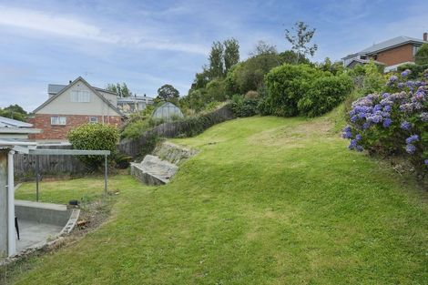 Photo of property in 53 Forfar Street, Clyde Hill, Dunedin, 9011