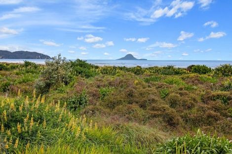 Photo of property in 279a Pohutukawa Avenue, Ohope, 3121